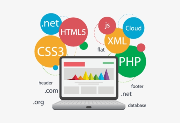 Front-end Development
